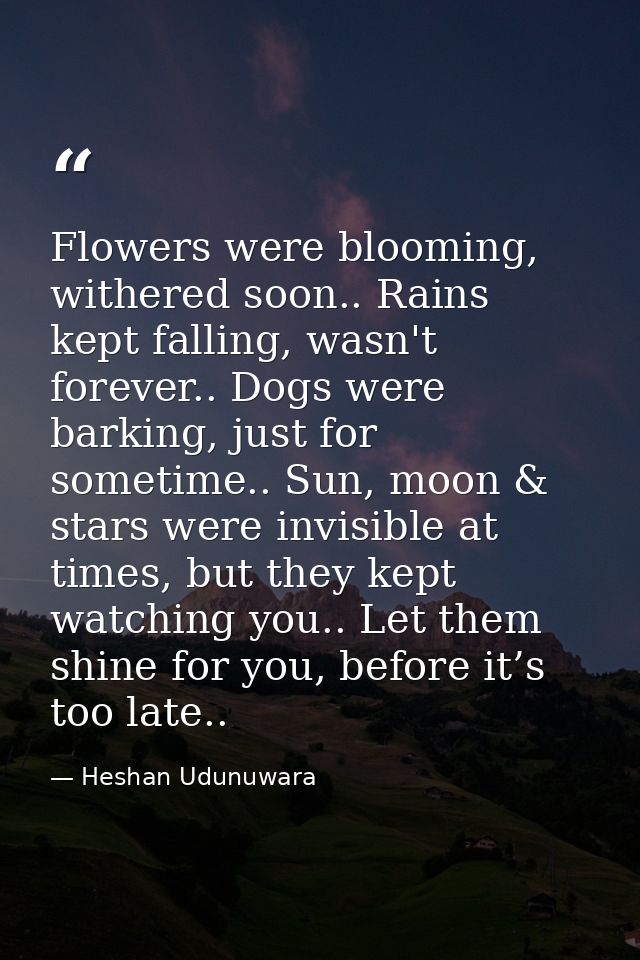 Flowers were blooming, withered soon.. Rains kept falling, wasn't forever.. Dogs were barking, just for sometime.. Sun,  — Heshan Udunuwara