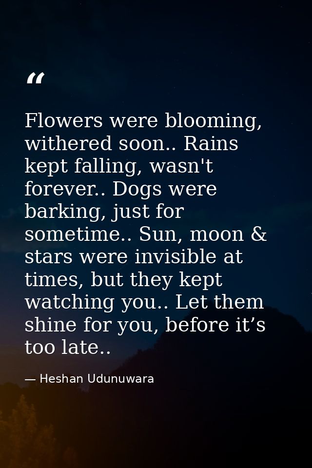 Flowers were blooming, withered soon.. Rains kept falling, wasn't forever.. Dogs were barking, just for sometime.. Sun,  — Heshan Udunuwara
