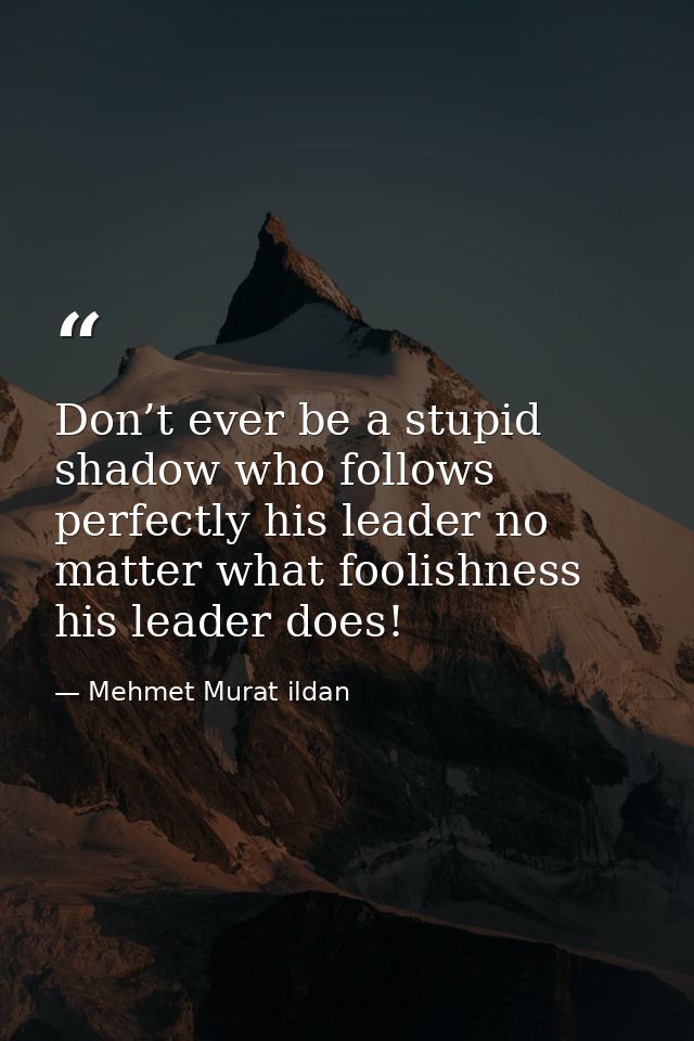 Don’t ever be a stupid shadow who follows perfectly his leader no matter what foolishness his leader does! — Mehmet Murat ildan
