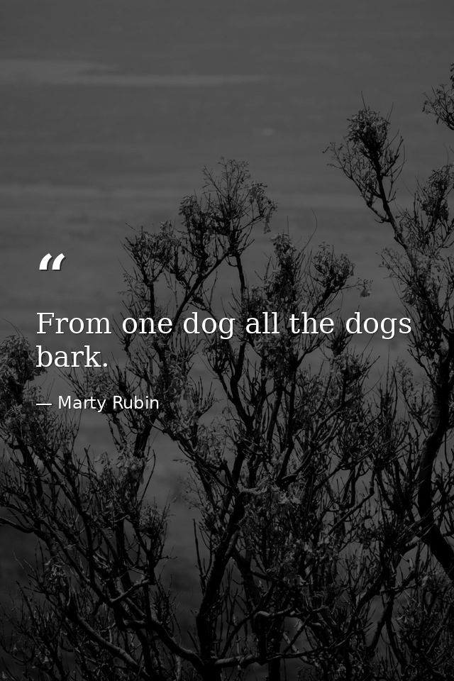From one dog all the dogs bark. — Marty Rubin