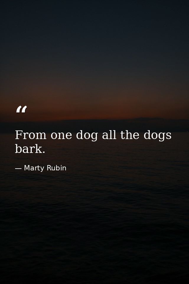 From one dog all the dogs bark. — Marty Rubin