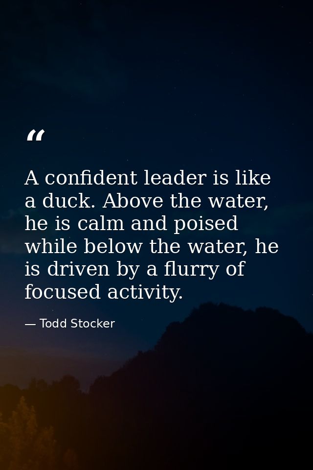 A confident leader is like a duck. Above the water, he is calm and poised while below the water, he is driven by a flurr — Todd Stocker