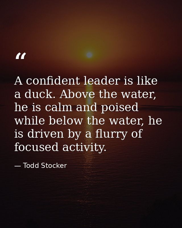 A confident leader is like a duck. Above the water, he is calm and poised while below the water, he is driven by a flurr — Todd Stocker
