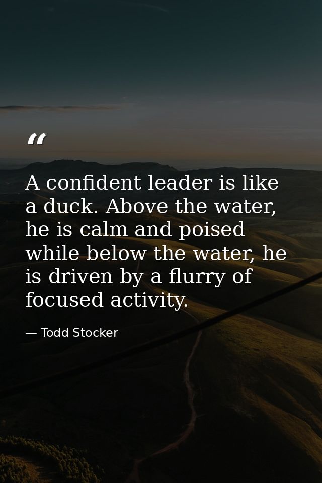A confident leader is like a duck. Above the water, he is calm and poised while below the water, he is driven by a flurr — Todd Stocker