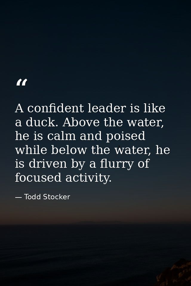 A confident leader is like a duck. Above the water, he is calm and poised while below the water, he is driven by a flurr — Todd Stocker