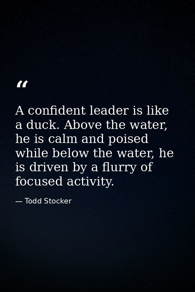 A confident leader is like a duck. Above the water, he is calm and poised while below the water, he is driven by a flurr — Todd Stocker