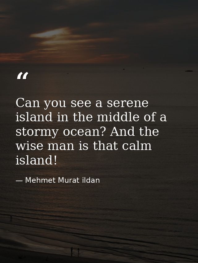 Can you see a serene island in the middle of a stormy ocean? And the wise man is that calm island! — Mehmet Murat ildan