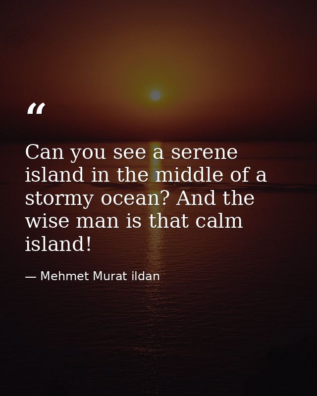 Can you see a serene island in the middle of a stormy ocean? And the wise man is that calm island! — Mehmet Murat ildan