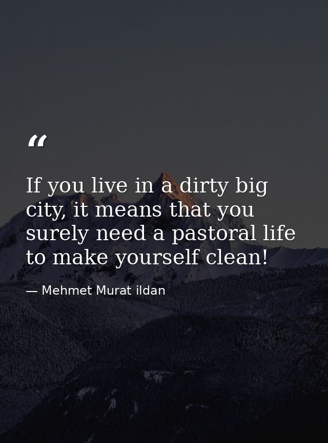 If you live in a dirty big city, it means that you surely need a pastoral life to make yourself clean! — Mehmet Murat ildan
