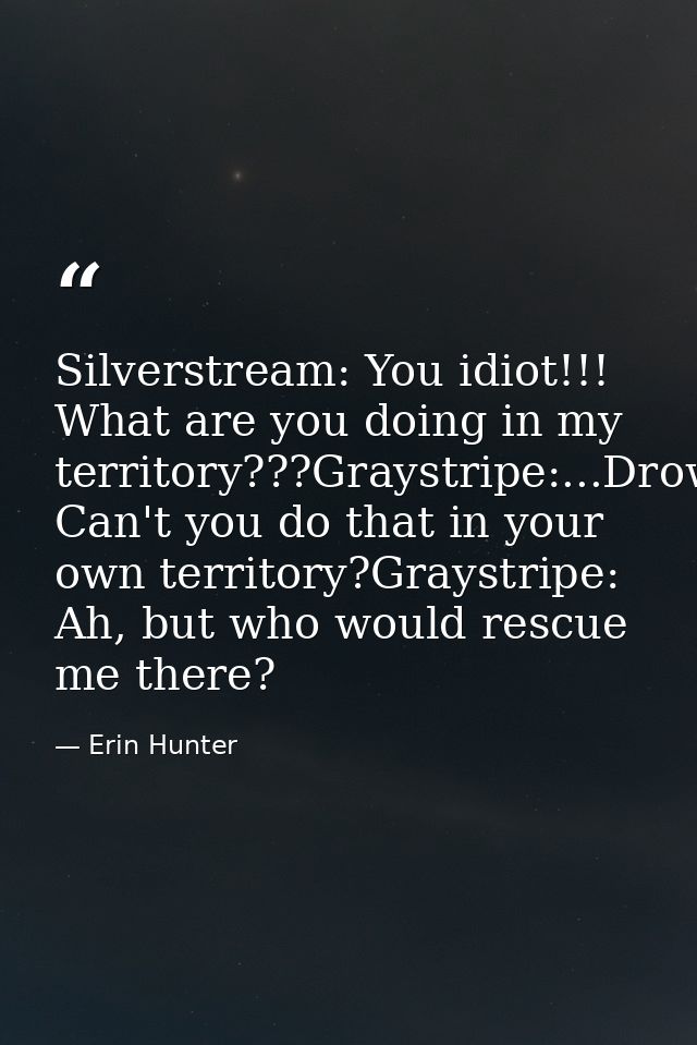 Silverstream: You idiot!!! What are you doing in my territory???Graystripe:...Drowning?Silverstream: Can't you do that i — Erin Hunter