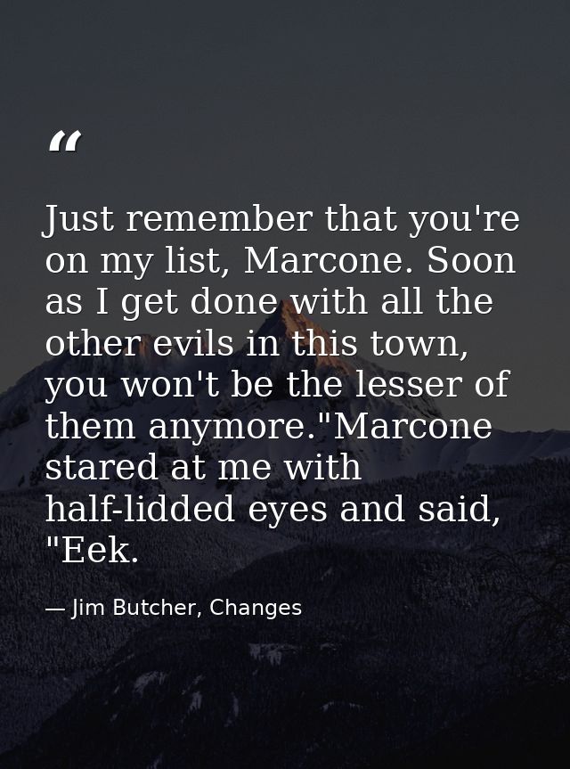 Just remember that you're on my list, Marcone. Soon as I get done with all the other evils in this town, you won't be th — Jim Butcher, Changes