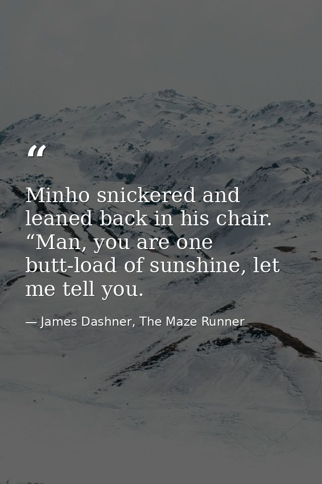 Minho snickered and leaned back in his chair. “Man, you are one butt-load of sunshine, let me tell you. — James Dashner, The Maze Runner