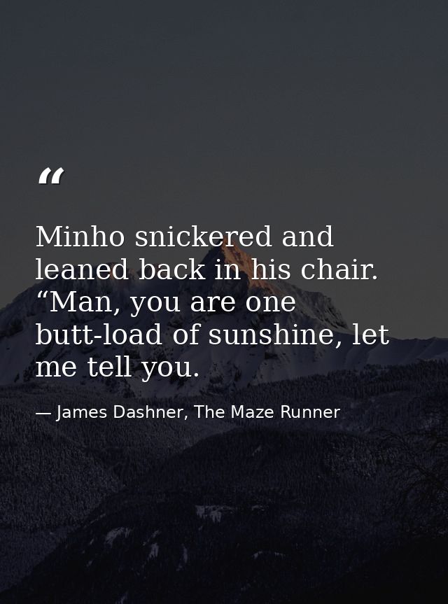 Minho snickered and leaned back in his chair. “Man, you are one butt-load of sunshine, let me tell you. — James Dashner, The Maze Runner