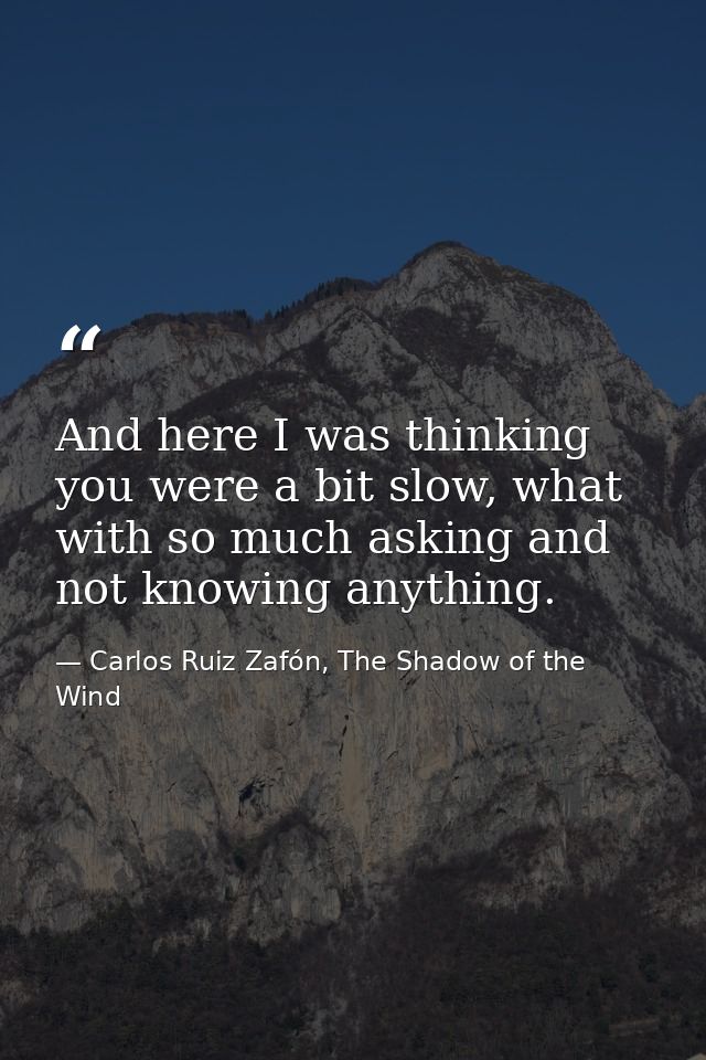 And here I was thinking you were a bit slow, what with so much asking and not knowing anything. — Carlos Ruiz Zafón, The Shadow of the Wind