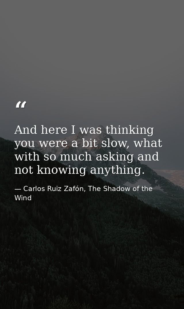 And here I was thinking you were a bit slow, what with so much asking and not knowing anything. — Carlos Ruiz Zafón, The Shadow of the Wind