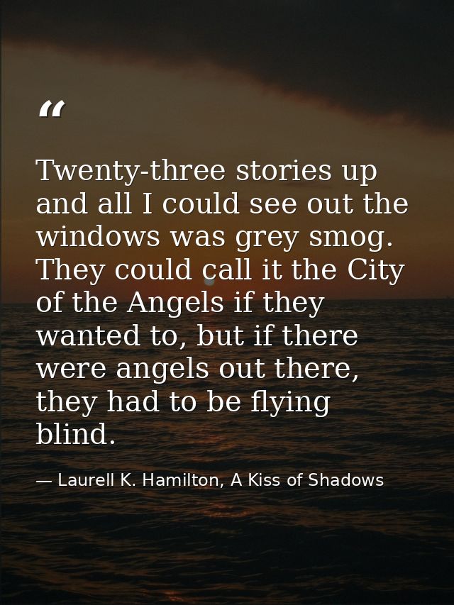 Twenty-three stories up and all I could see out the windows was grey smog. They could call it the City of the Angels if  — Laurell K. Hamilton, A Kiss of Shadows