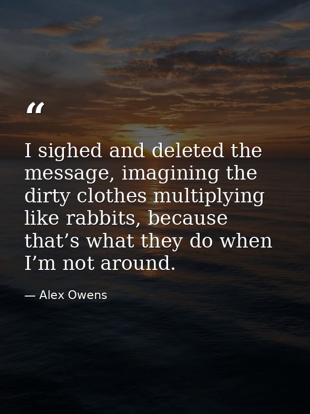 I sighed and deleted the message, imagining the dirty clothes multiplying like rabbits, because that’s what they do when — Alex Owens