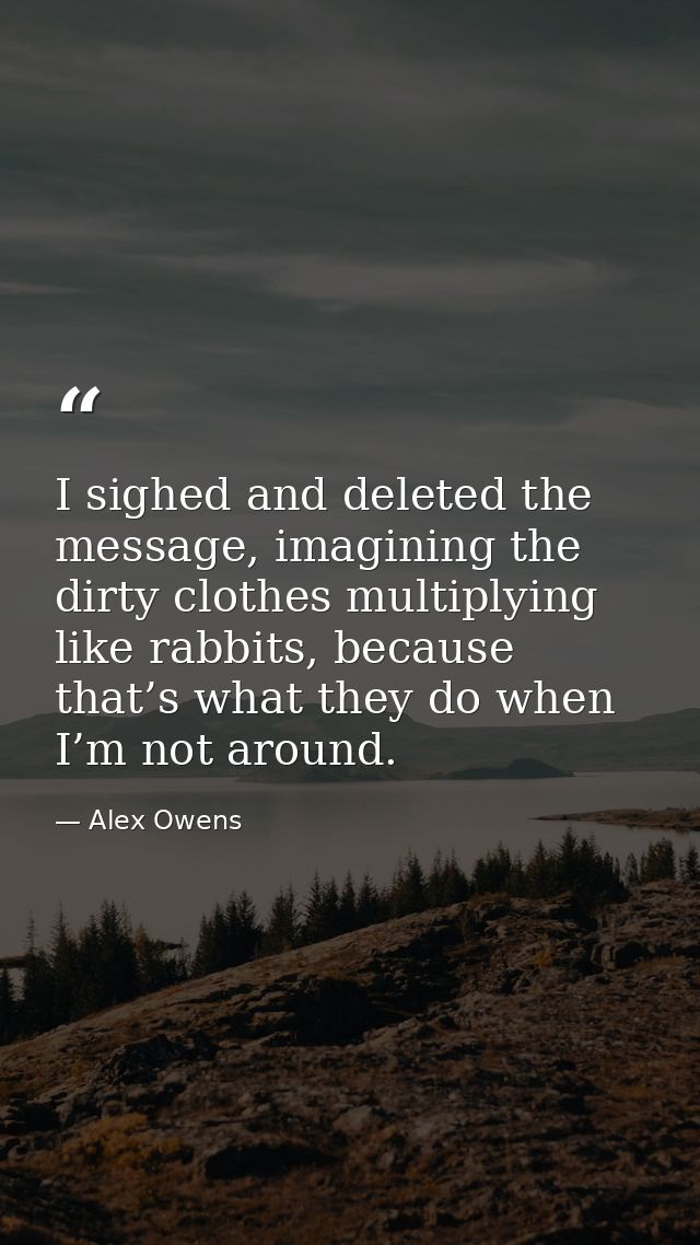 I sighed and deleted the message, imagining the dirty clothes multiplying like rabbits, because that’s what they do when — Alex Owens