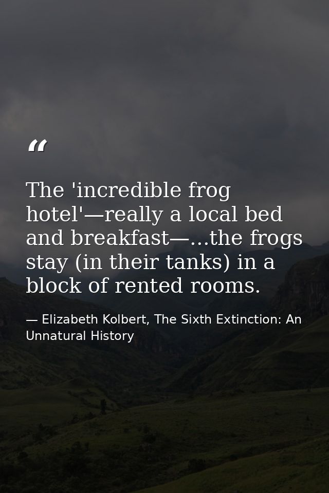 The 'incredible frog hotel'—really a local bed and breakfast—...the frogs stay (in their tanks) in a block of rented roo — Elizabeth Kolbert, The Sixth Extinction: An Unnatural History