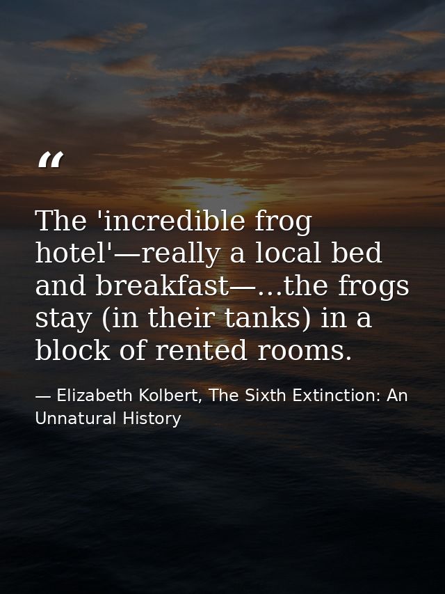 The 'incredible frog hotel'—really a local bed and breakfast—...the frogs stay (in their tanks) in a block of rented roo — Elizabeth Kolbert, The Sixth Extinction: An Unnatural History