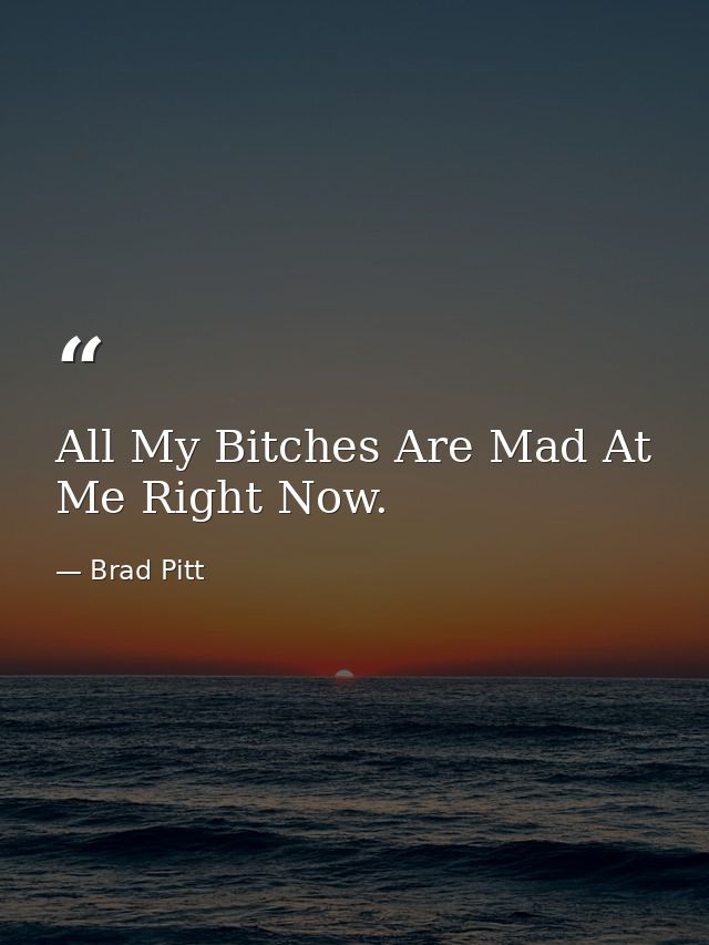 All My Bitches Are Mad At Me Right Now. — Brad Pitt