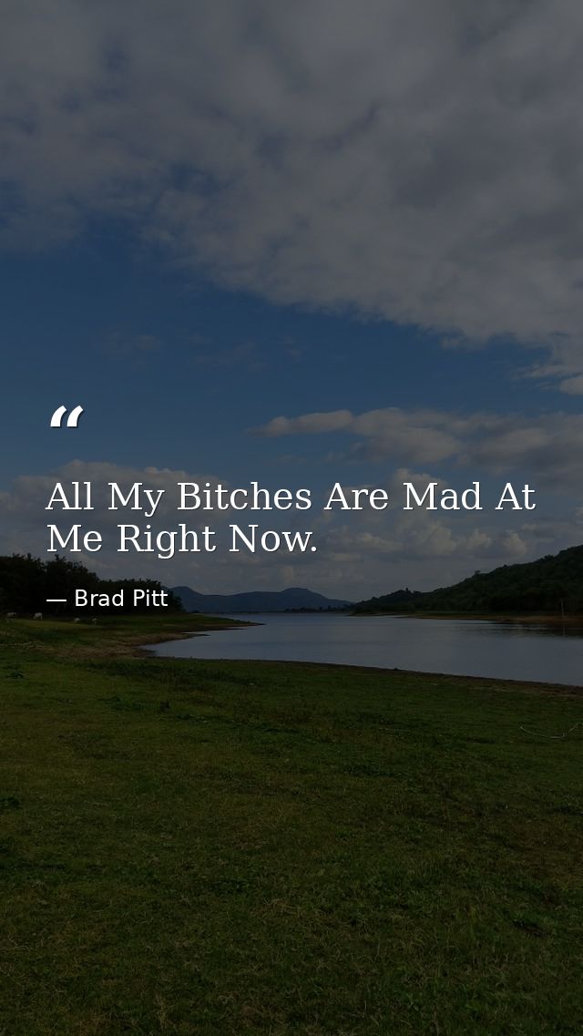 All My Bitches Are Mad At Me Right Now. — Brad Pitt
