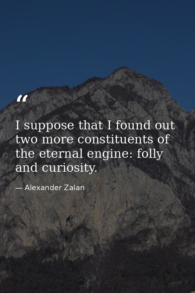 I suppose that I found out two more constituents of the eternal engine: folly and curiosity. — Alexander Zalan