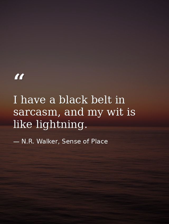 I have a black belt in sarcasm, and my wit is like lightning. — N.R. Walker, Sense of Place