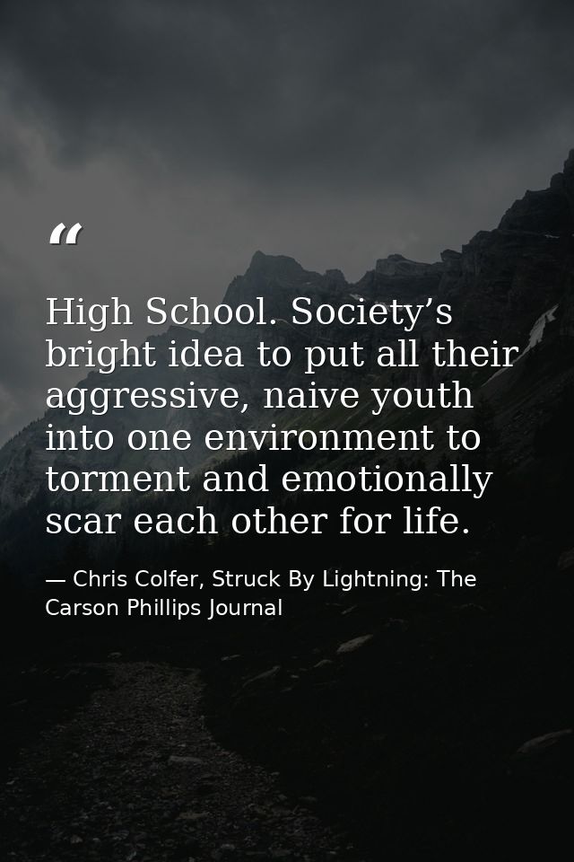 High School. Society’s bright idea to put all their aggressive, naive youth into one environment to torment and emotiona — Chris Colfer, Struck By Lightning: The Carson Phillips Journal
