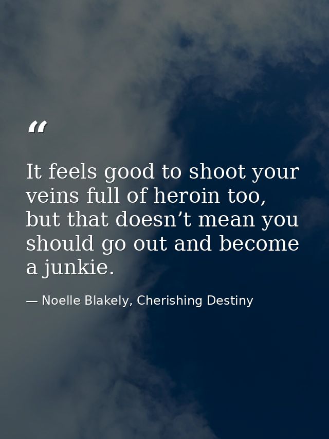 It feels good to shoot your veins full of heroin too, but that doesn’t mean you should go out and become a junkie. — Noelle Blakely, Cherishing Destiny
