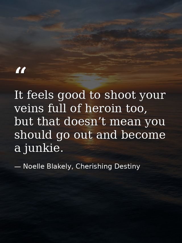 It feels good to shoot your veins full of heroin too, but that doesn’t mean you should go out and become a junkie. — Noelle Blakely, Cherishing Destiny