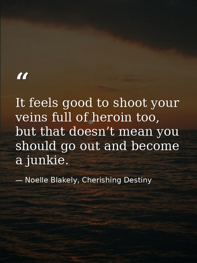It feels good to shoot your veins full of heroin too, but that doesn’t mean you should go out and become a junkie. — Noelle Blakely, Cherishing Destiny