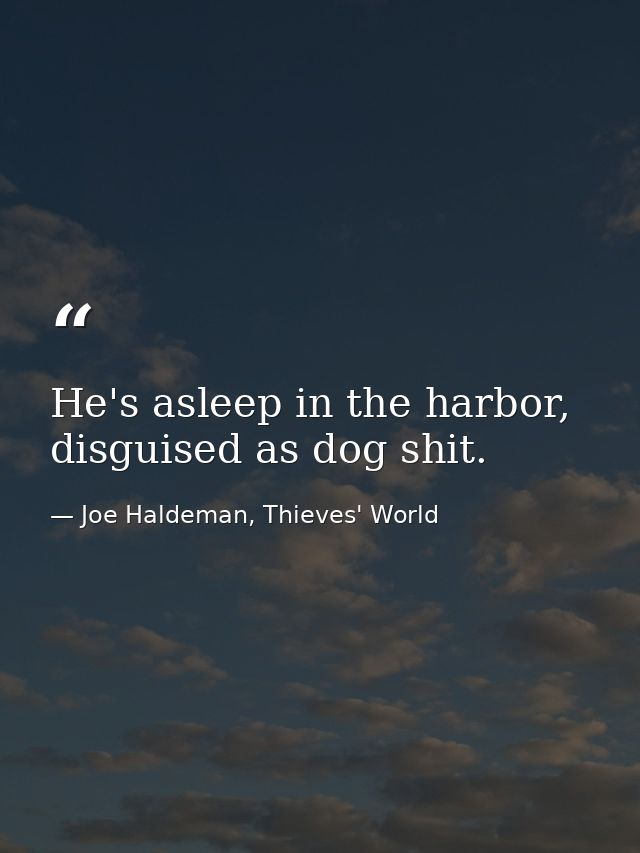 He's asleep in the harbor, disguised as dog shit. — Joe Haldeman, Thieves' World
