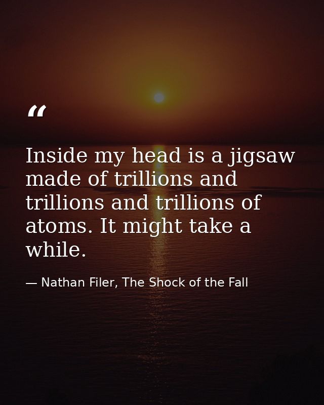 Inside my head is a jigsaw made of trillions and trillions and trillions of atoms. It might take a while. — Nathan Filer, The Shock of the Fall