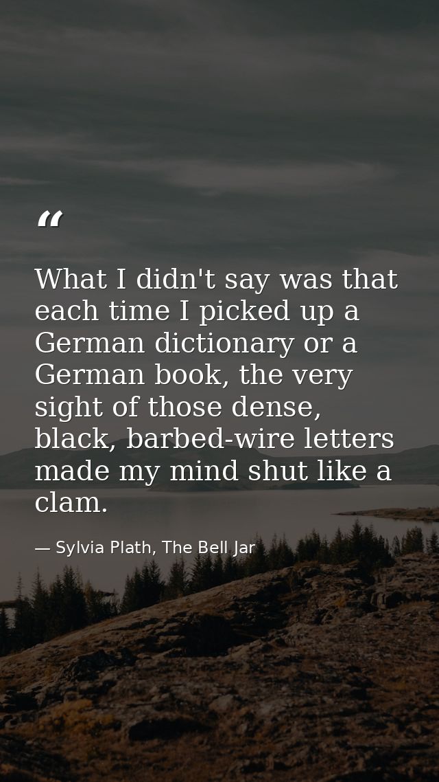 What I didn't say was that each time I picked up a German dictionary or a German book, the very sight of those dense, bl — Sylvia Plath, The Bell Jar