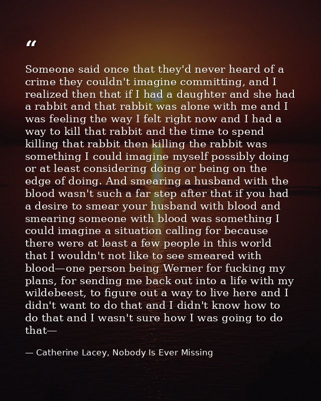 Someone said once that they'd never heard of a crime they couldn't imagine committing, and I realized then that if I had — Catherine Lacey, Nobody Is Ever Missing