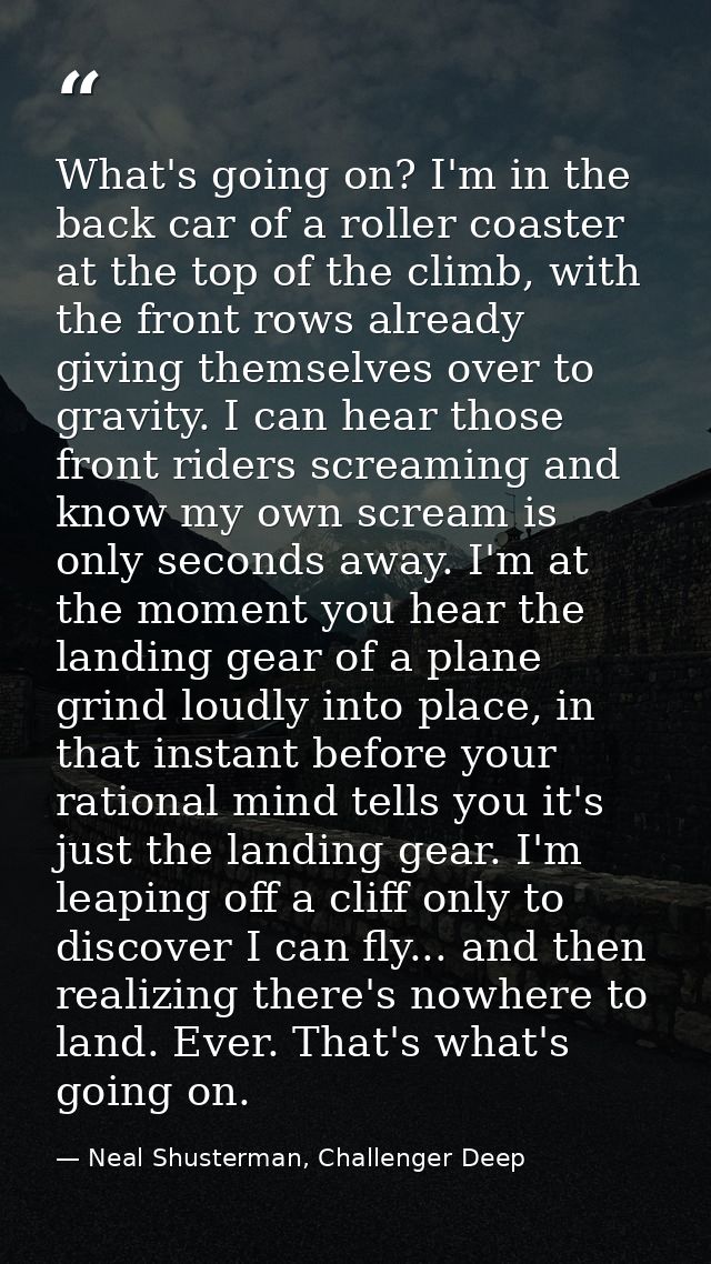 What's going on? I'm in the back car of a roller coaster at the top of the climb, with the front rows already giving the — Neal Shusterman, Challenger Deep