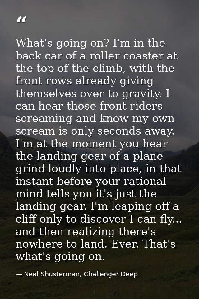 What's going on? I'm in the back car of a roller coaster at the top of the climb, with the front rows already giving the — Neal Shusterman, Challenger Deep
