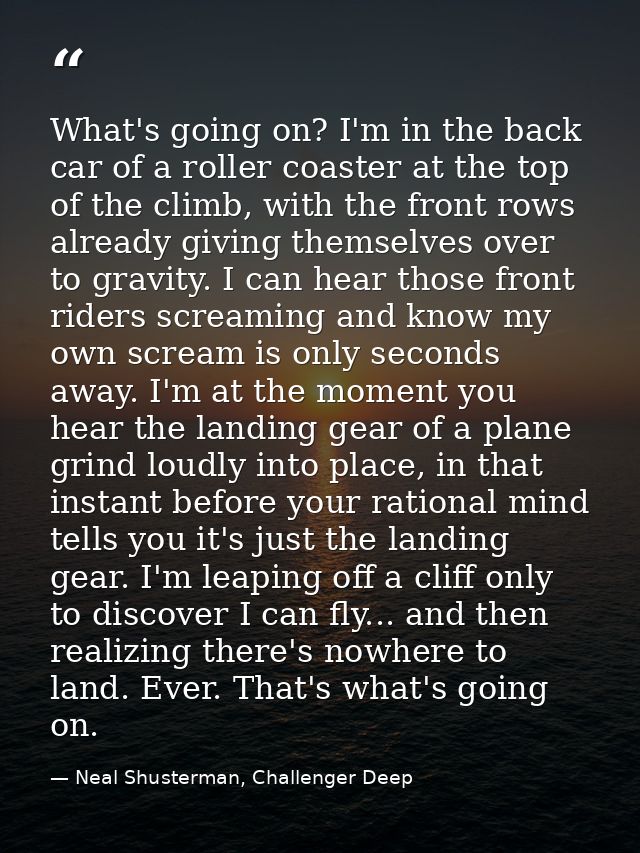 What's going on? I'm in the back car of a roller coaster at the top of the climb, with the front rows already giving the — Neal Shusterman, Challenger Deep
