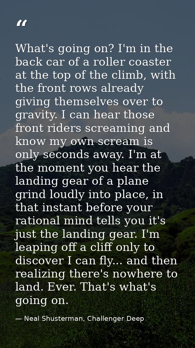 What's going on? I'm in the back car of a roller coaster at the top of the climb, with the front rows already giving the — Neal Shusterman, Challenger Deep