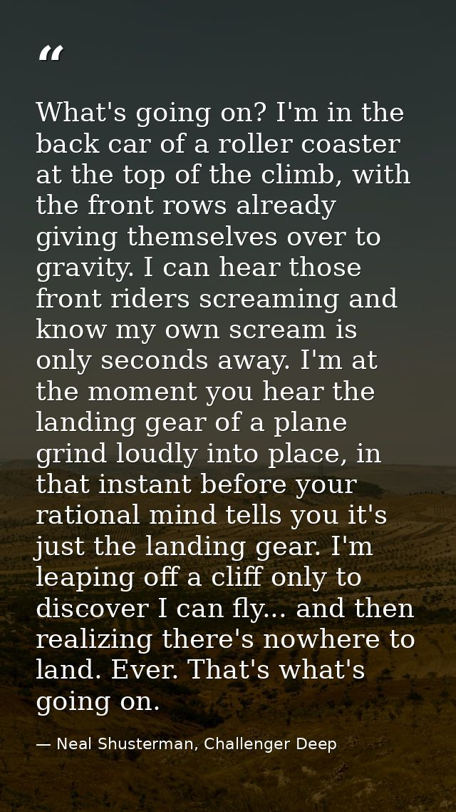 What's going on? I'm in the back car of a roller coaster at the top of the climb, with the front rows already giving the — Neal Shusterman, Challenger Deep