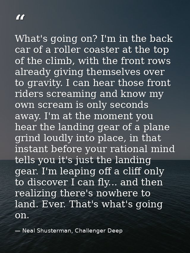 What's going on? I'm in the back car of a roller coaster at the top of the climb, with the front rows already giving the — Neal Shusterman, Challenger Deep