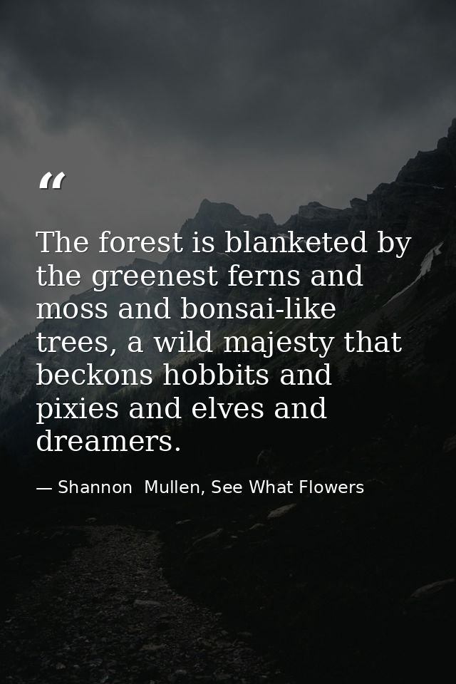 The forest is blanketed by the greenest ferns and moss and bonsai-like trees, a wild majesty that beckons hobbits and pi — Shannon  Mullen, See What Flowers