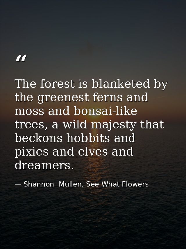 The forest is blanketed by the greenest ferns and moss and bonsai-like trees, a wild majesty that beckons hobbits and pi — Shannon  Mullen, See What Flowers