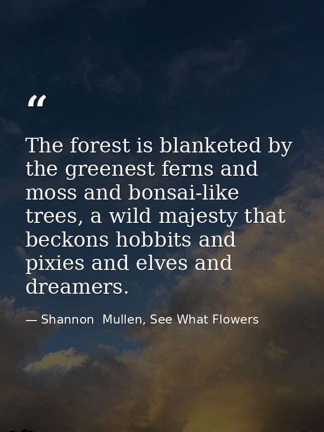 The forest is blanketed by the greenest ferns and moss and bonsai-like trees, a wild majesty that beckons hobbits and pi — Shannon  Mullen, See What Flowers