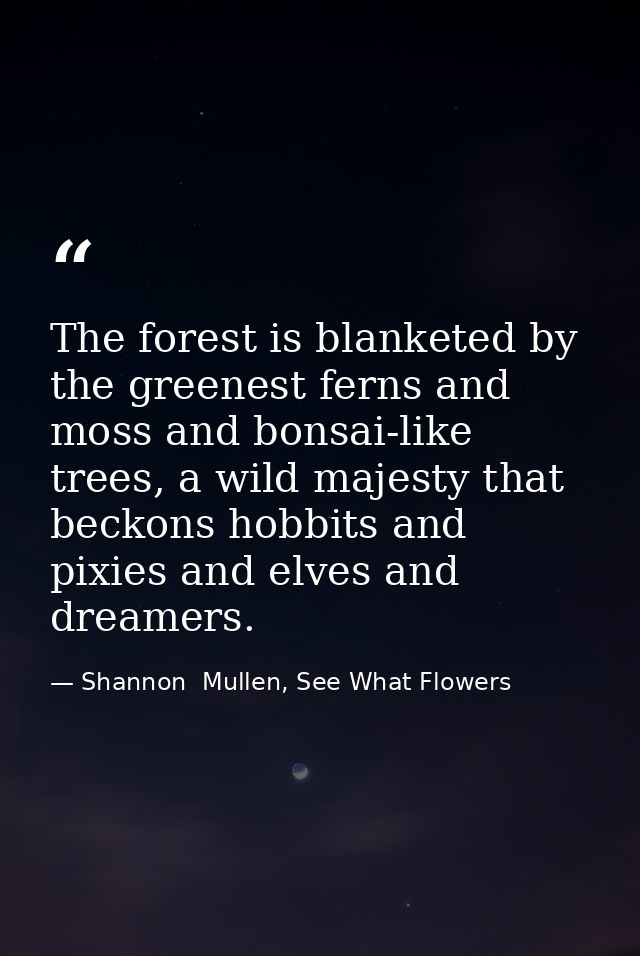 The forest is blanketed by the greenest ferns and moss and bonsai-like trees, a wild majesty that beckons hobbits and pi — Shannon  Mullen, See What Flowers