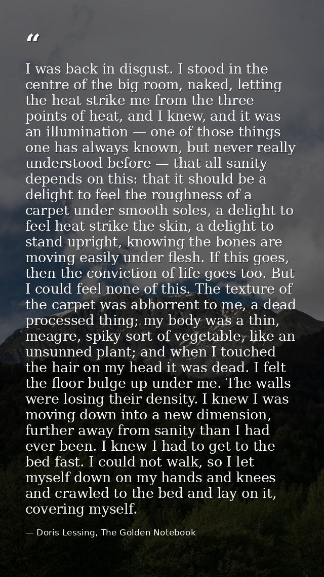 I was back in disgust. I stood in the centre of the big room, naked, letting the heat strike me from the three points of — Doris Lessing, The Golden Notebook