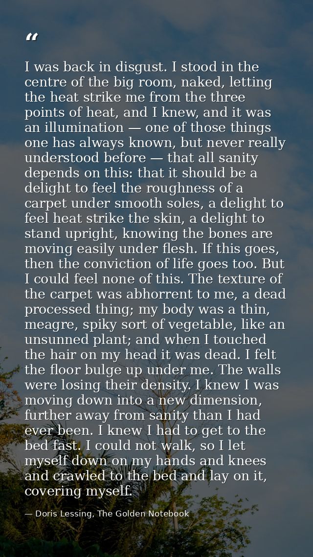 I was back in disgust. I stood in the centre of the big room, naked, letting the heat strike me from the three points of — Doris Lessing, The Golden Notebook