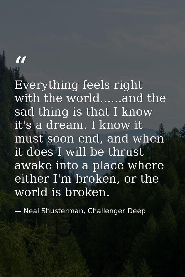 Everything feels right with the world......and the sad thing is that I know it's a dream. I know it must soon end, and w — Neal Shusterman, Challenger Deep