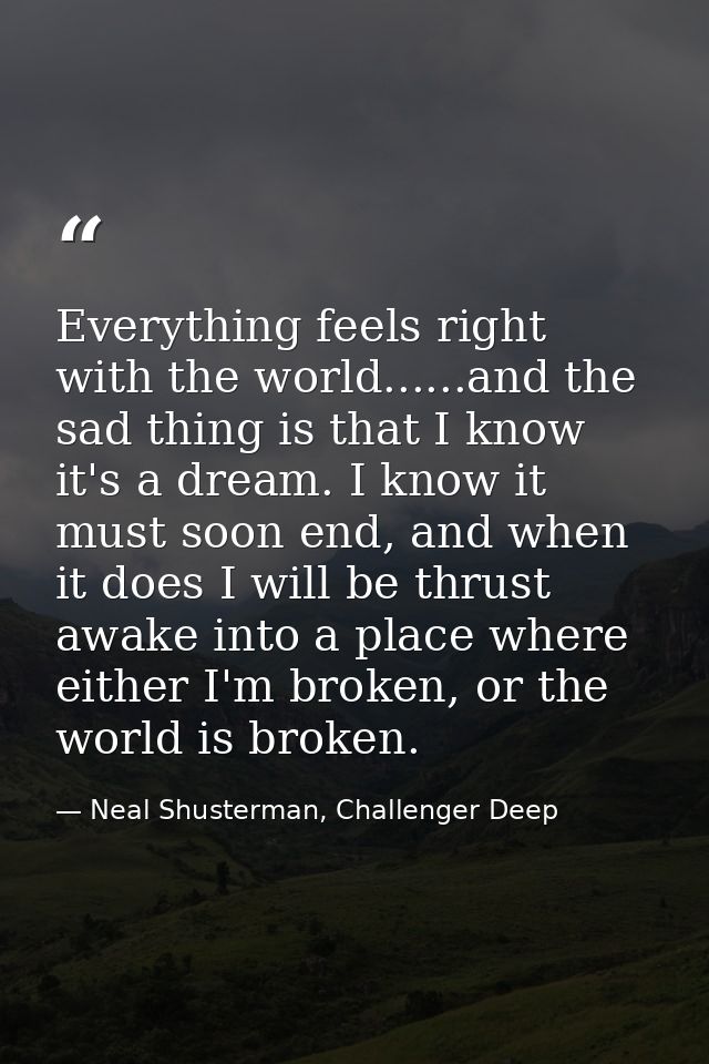 Everything feels right with the world......and the sad thing is that I know it's a dream. I know it must soon end, and w — Neal Shusterman, Challenger Deep